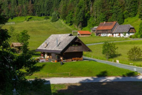 Brunarica Bled Zatrnik Pokljuka